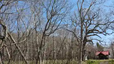 豊受神社の自然