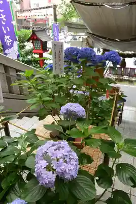 十番稲荷神社の自然