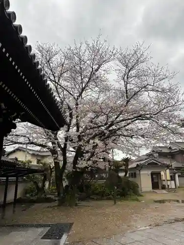 誓福寺(兵庫県)