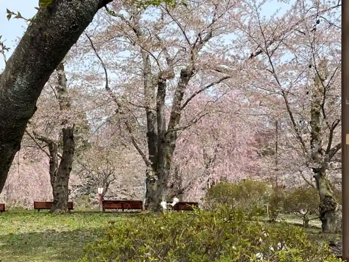 糠部神社の自然