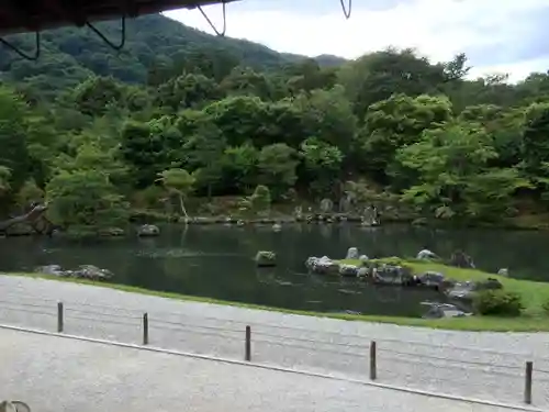 天龍寺の庭園