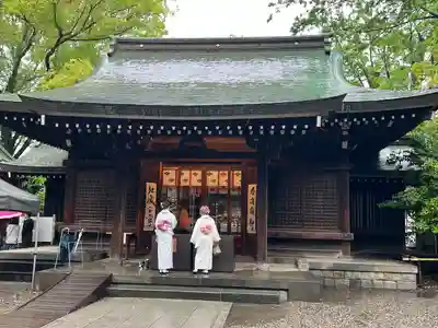 川越氷川神社(埼玉県)