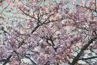 正安寺(神奈川県)