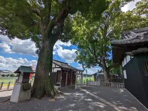 玉田神社(京都府)