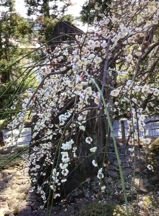 東長谷寺 薬王院(東京都)