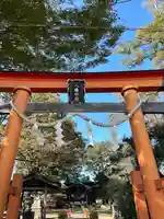 水海道鎮守 八幡神社(茨城県)