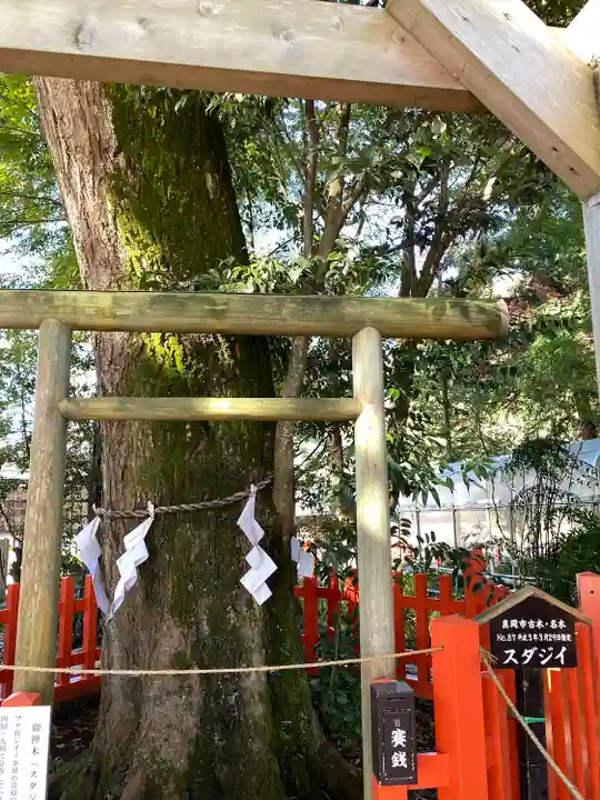 大前神社(栃木県)