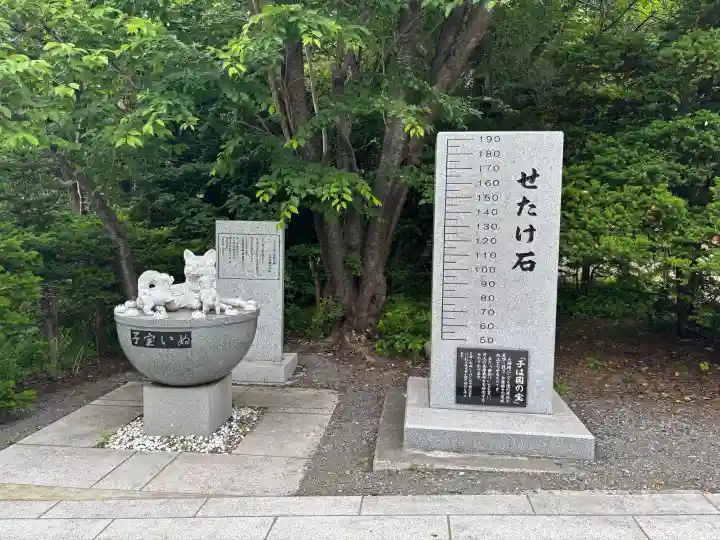 住吉神社のその他建物
