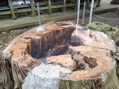 日吉神社の建物その他