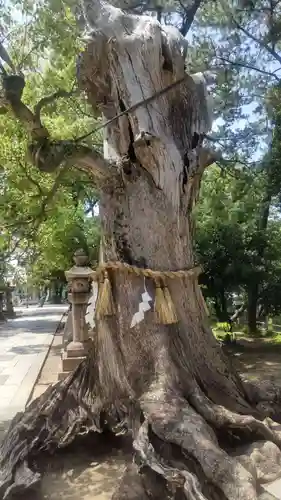 住吉大社(大阪府)