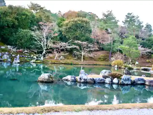 天龍寺の庭園