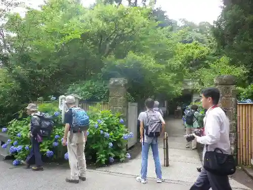 明月院の庭園