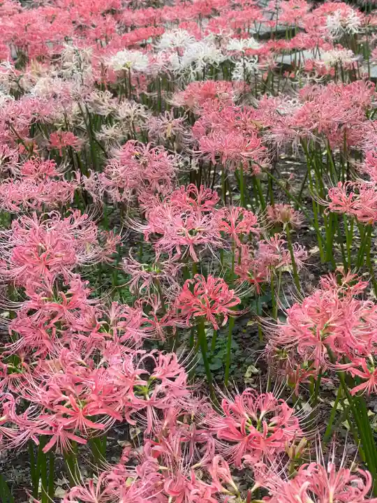 横浜 西方寺の庭園