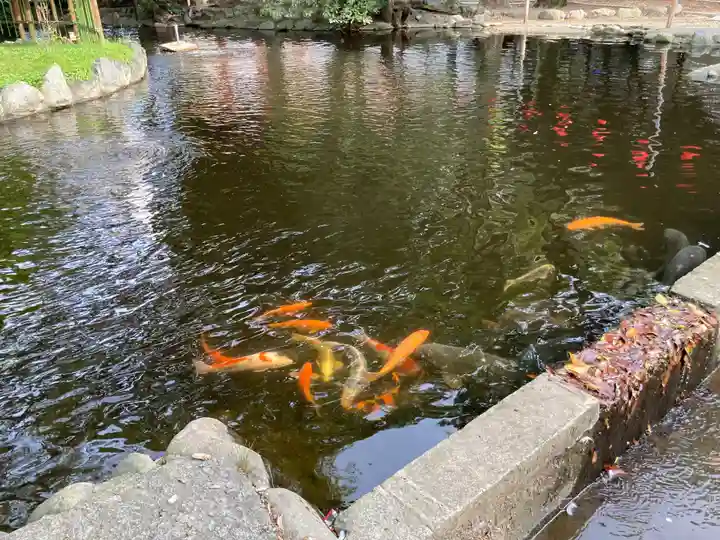 平塚八幡宮(神奈川県)