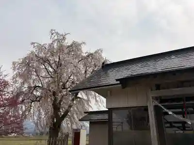 古四王神社の{uncategorized: "未分類", other: "その他", undefined: "問題あり", building: "その他建物", grave: "お墓", sacred_gate: "鳥居", guardian: "狛犬", statue: "像", buddha: "仏像", history: "歴史", nature: "自然", garden: "庭園", animal: "動物", pagoda: "塔", temizu: "手水舎", mountain_gate: "山門・神門", sanctuary: "本殿・本堂", subordinate: "末社・摂社", art: "芸術", scenery: "景色", jizo: "地蔵", ema: "絵馬", goshuin: "御朱印", omikuji: "おみくじ", items: "授与品その他", amulet: "お守り", goshuincho: "御朱印帳", eats: "食事", festival: "お祭り", votive_dance: "神楽", shichigosan: "七五三参", wedding: "結婚式", experience: "体験その他", initially: "初詣", around: "周辺", anti_infection: "感染症対策"}