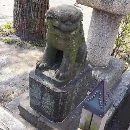 高野胡録神社の狛犬