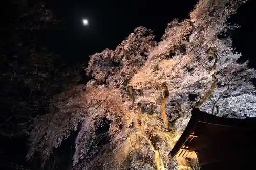 天神さまの祠の自然