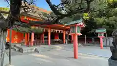 住吉神社の本殿