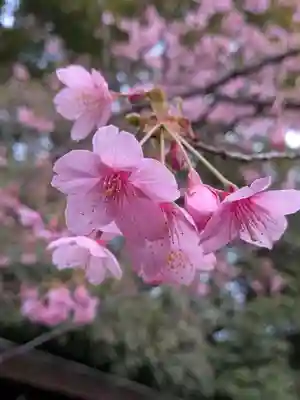 代々木八幡宮(東京都)