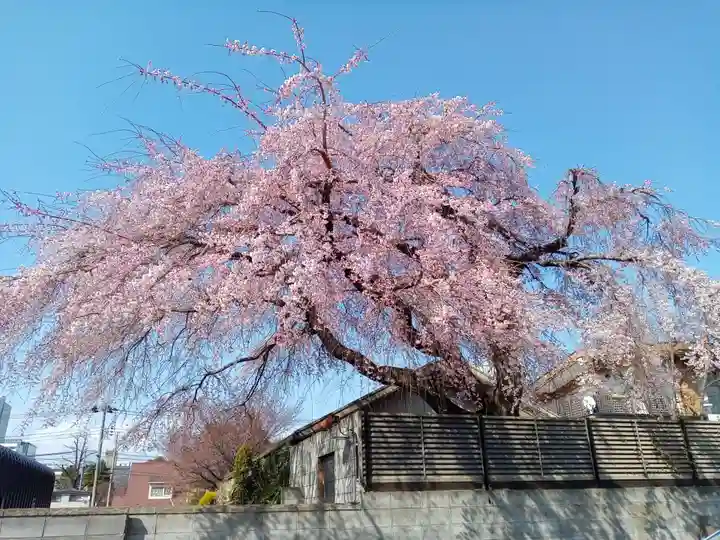 成覚寺(宮城県)