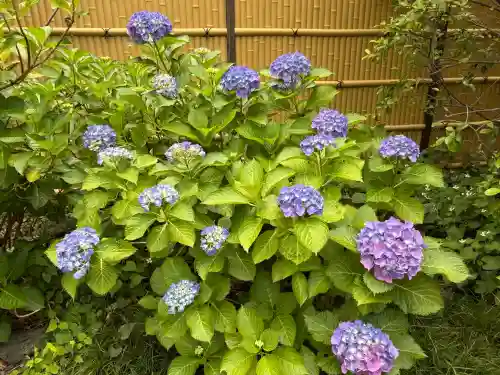 行願寺（革堂）(京都府)