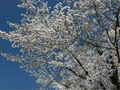宝登山神社(埼玉県)