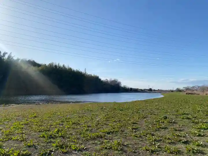 武蔵第六天神社の{uncategorized: "未分類", other: "その他", undefined: "問題あり", building: "その他建物", grave: "お墓", sacred_gate: "鳥居", guardian: "狛犬", statue: "像", buddha: "仏像", history: "歴史", nature: "自然", garden: "庭園", animal: "動物", pagoda: "塔", temizu: "手水舎", mountain_gate: "山門・神門", sanctuary: "本殿・本堂", subordinate: "末社・摂社", art: "芸術", scenery: "景色", jizo: "地蔵", ema: "絵馬", goshuin: "御朱印", omikuji: "おみくじ", items: "授与品その他", amulet: "お守り", goshuincho: "御朱印帳", eats: "食事", festival: "お祭り", votive_dance: "神楽", shichigosan: "七五三参", wedding: "結婚式", experience: "体験その他", initially: "初詣", around: "周辺", anti_infection: "感染症対策"}