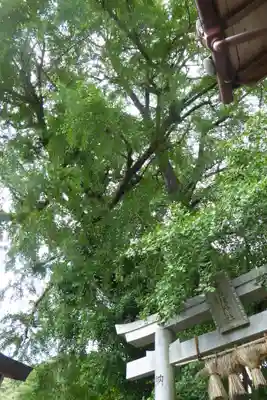 與喜天満神社(奈良県)