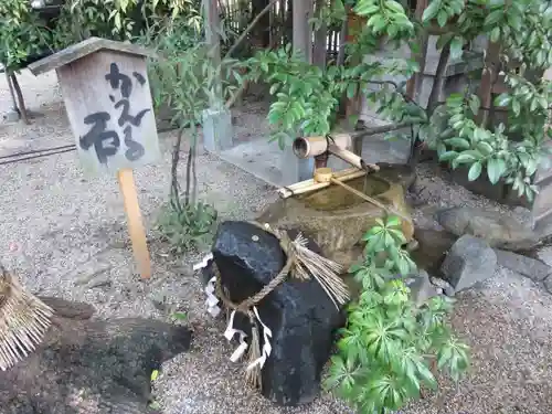 堀越神社の狛犬