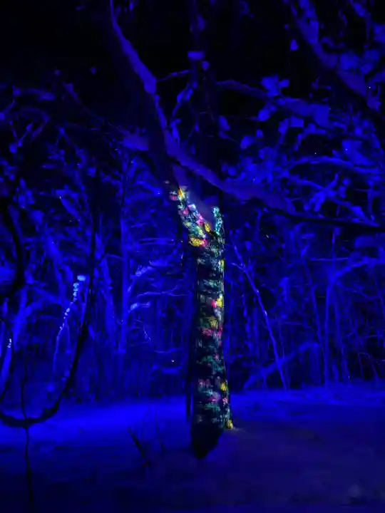 定山渓神社の{uncategorized: "未分類", other: "その他", undefined: "問題あり", building: "その他建物", grave: "お墓", sacred_gate: "鳥居", guardian: "狛犬", statue: "像", buddha: "仏像", history: "歴史", nature: "自然", garden: "庭園", animal: "動物", pagoda: "塔", temizu: "手水舎", mountain_gate: "山門・神門", sanctuary: "本殿・本堂", subordinate: "末社・摂社", art: "芸術", scenery: "景色", jizo: "地蔵", ema: "絵馬", goshuin: "御朱印", omikuji: "おみくじ", items: "授与品その他", amulet: "お守り", goshuincho: "御朱印帳", eats: "食事", festival: "お祭り", votive_dance: "神楽", shichigosan: "七五三参", wedding: "結婚式", experience: "体験その他", initially: "初詣", around: "周辺", anti_infection: "感染症対策"}