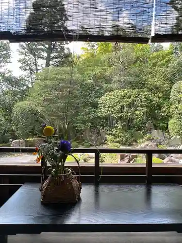 退蔵院(京都府)