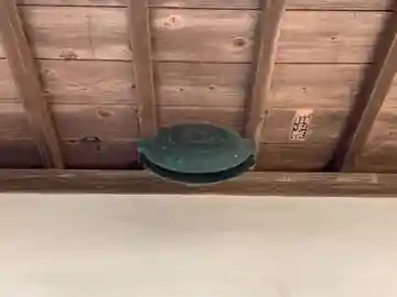 熊野神社のその他建物