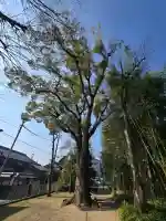 津嶋部神社の{uncategorized: "未分類", other: "その他", undefined: "問題あり", building: "その他建物", grave: "お墓", sacred_gate: "鳥居", guardian: "狛犬", statue: "像", buddha: "仏像", history: "歴史", nature: "自然", garden: "庭園", animal: "動物", pagoda: "塔", temizu: "手水舎", mountain_gate: "山門・神門", sanctuary: "本殿・本堂", subordinate: "末社・摂社", art: "芸術", scenery: "景色", jizo: "地蔵", ema: "絵馬", goshuin: "御朱印", omikuji: "おみくじ", items: "授与品その他", amulet: "お守り", goshuincho: "御朱印帳", eats: "食事", festival: "お祭り", votive_dance: "神楽", shichigosan: "七五三参", wedding: "結婚式", experience: "体験その他", initially: "初詣", around: "周辺", anti_infection: "感染症対策"}