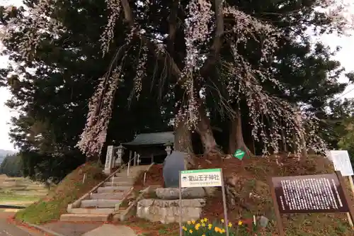 堂山王子神社の山門・神門