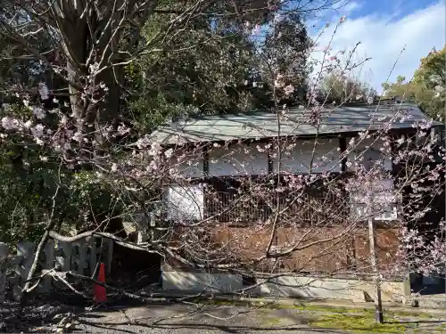 平野神社(京都府)