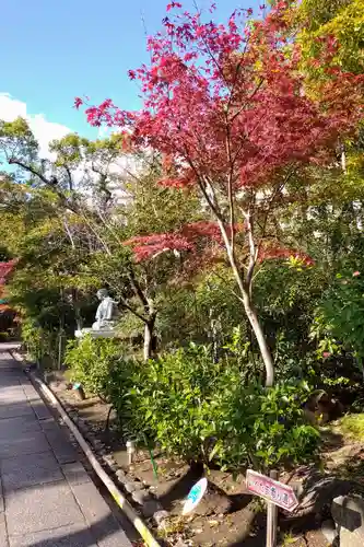 難波大社　生國魂神社(大阪府)