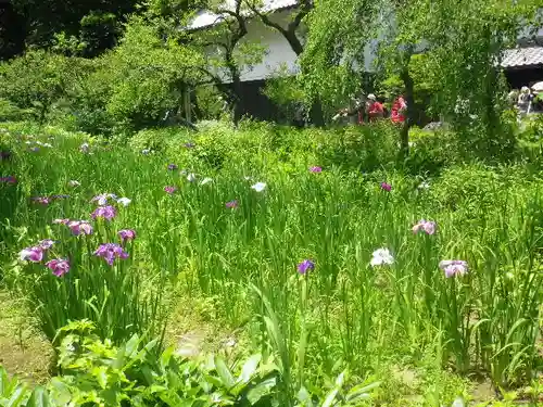 東慶寺の庭園