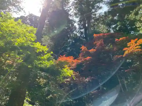 小國神社の{uncategorized: "未分類", other: "その他", undefined: "問題あり", building: "その他建物", grave: "お墓", sacred_gate: "鳥居", guardian: "狛犬", statue: "像", buddha: "仏像", history: "歴史", nature: "自然", garden: "庭園", animal: "動物", pagoda: "塔", temizu: "手水舎", mountain_gate: "山門・神門", sanctuary: "本殿・本堂", subordinate: "末社・摂社", art: "芸術", scenery: "景色", jizo: "地蔵", ema: "絵馬", goshuin: "御朱印", omikuji: "おみくじ", items: "授与品その他", amulet: "お守り", goshuincho: "御朱印帳", eats: "食事", festival: "お祭り", votive_dance: "神楽", shichigosan: "七五三参", wedding: "結婚式", experience: "体験その他", initially: "初詣", around: "周辺", anti_infection: "感染症対策"}