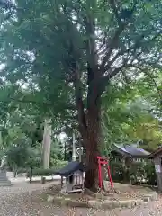 鳴雷神社(岩手県)