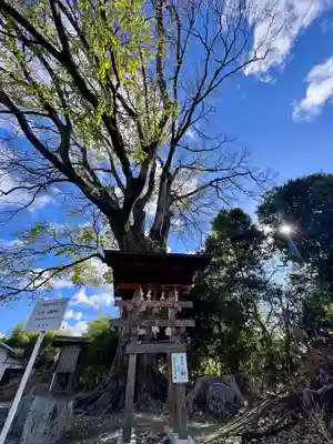 石坐神社(滋賀県)
