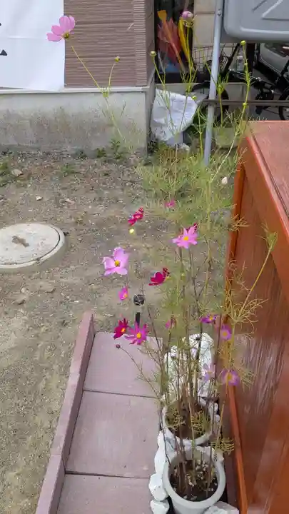 柳彩釧路浅間神社の庭園