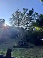 武雄神社の{uncategorized: "未分類", other: "その他", undefined: "問題あり", building: "その他建物", grave: "お墓", sacred_gate: "鳥居", guardian: "狛犬", statue: "像", buddha: "仏像", history: "歴史", nature: "自然", garden: "庭園", animal: "動物", pagoda: "塔", temizu: "手水舎", mountain_gate: "山門・神門", sanctuary: "本殿・本堂", subordinate: "末社・摂社", art: "芸術", scenery: "景色", jizo: "地蔵", ema: "絵馬", goshuin: "御朱印", omikuji: "おみくじ", items: "授与品その他", amulet: "お守り", goshuincho: "御朱印帳", eats: "食事", festival: "お祭り", votive_dance: "神楽", shichigosan: "七五三参", wedding: "結婚式", experience: "体験その他", initially: "初詣", around: "周辺", anti_infection: "感染症対策"}