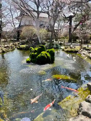 懐古神社(長野県)