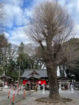 薬師寺八幡宮(栃木県)