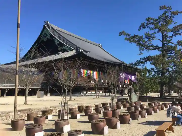 本山専修寺の本殿・本堂