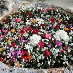 立志神社の手水