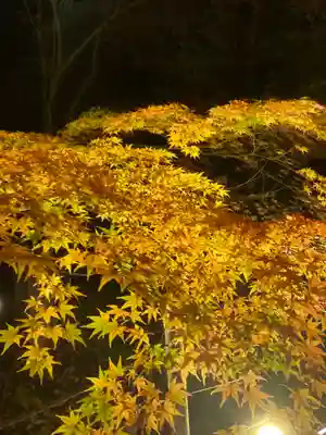 知恩院(京都府)