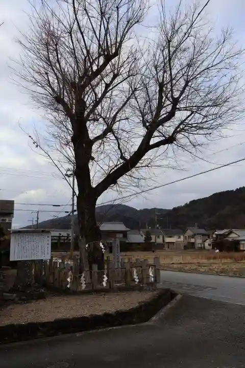 篠村八幡宮(京都府)