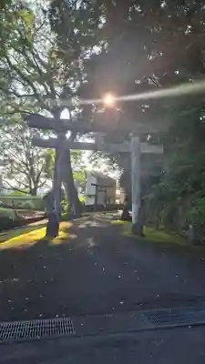石立八幡宮(高知県)
