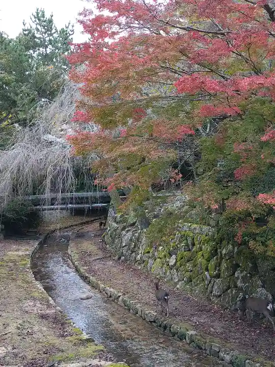 厳島神社の周辺